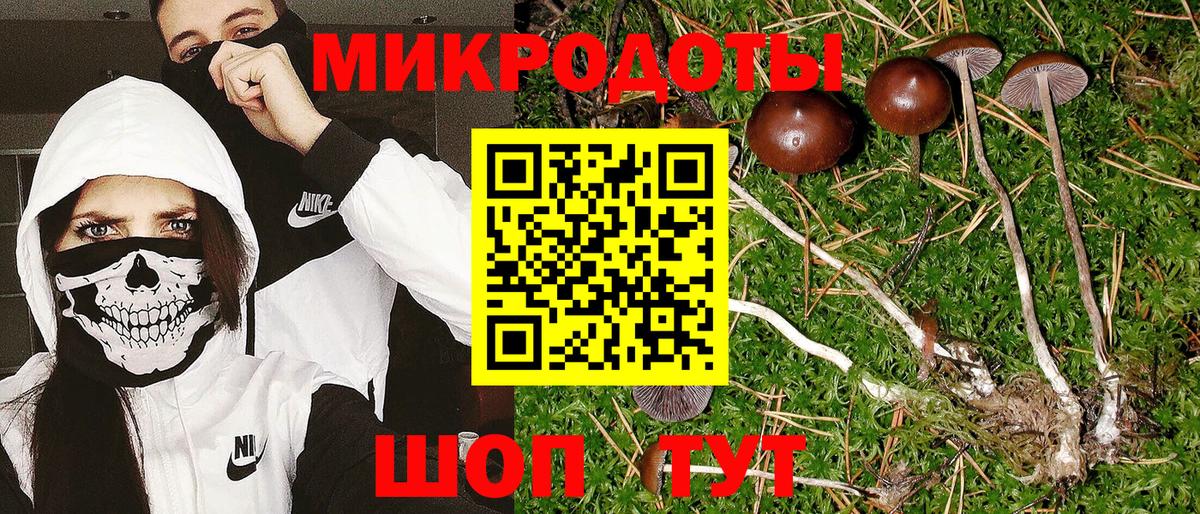 Галлюциногенные грибы Magic Shrooms  Вход с VPN  купить закладку  Псилоцибиновые грибы мицелий  Славянск-на-Кубани 