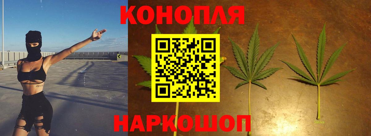 Бошки Шишки тримм Славянск-на-Кубани